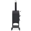 Charcoal Fire, Outdoor Pizza Oven with Fireclay Stone