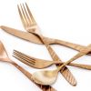 Elegant Western Utensils, 20 Piece Flatware Utensil Setting for 4