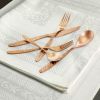 Elegant Western Utensils, 20 Piece Flatware Utensil Setting for 4